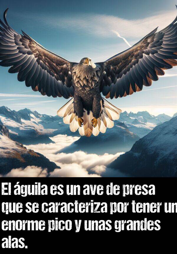 pico: El guila es un ave de presa que se caracteriza por tener un enorme pico y unas grandes alas.