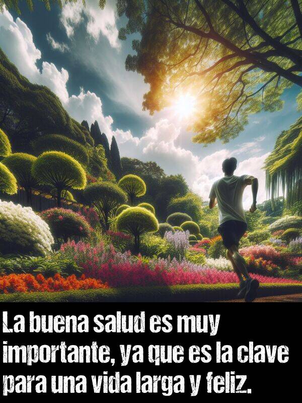 clave: La buena salud es muy importante, ya que es la clave para una vida larga y feliz.