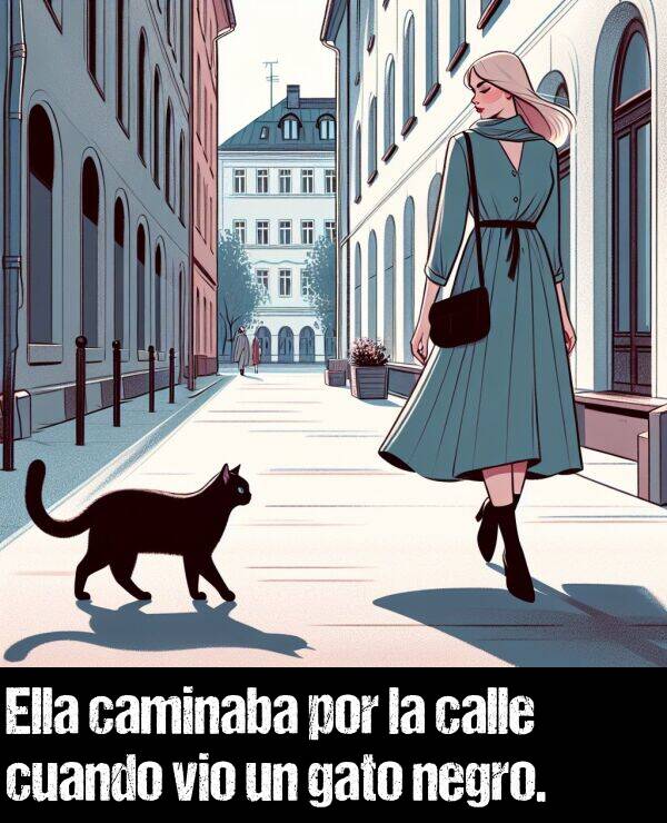 gato: Ella caminaba por la calle cuando vio un gato negro.