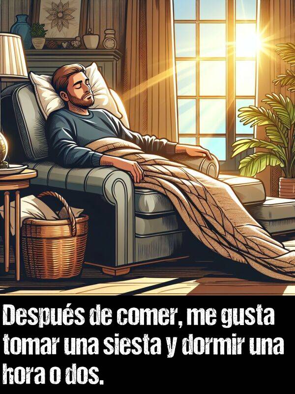 siesta: Despus de comer, me gusta tomar una siesta y dormir una hora o dos.