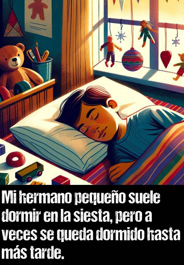 siesta: Mi hermano pequeo suele dormir en la siesta, pero a veces se queda dormido hasta ms tarde.