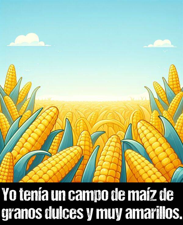 campo: Yo tena un campo de maz de granos dulces y muy amarillos.