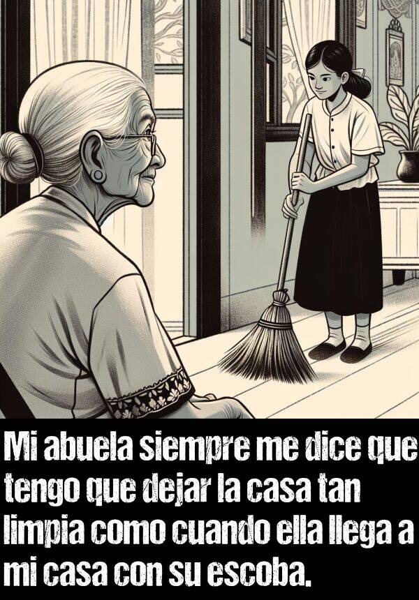 limpia: Mi abuela siempre me dice que tengo que dejar la casa tan limpia como cuando ella llega a mi casa con su escoba.
