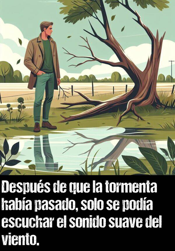 suave: Despus de que la tormenta haba pasado, solo se poda escuchar el sonido suave del viento.