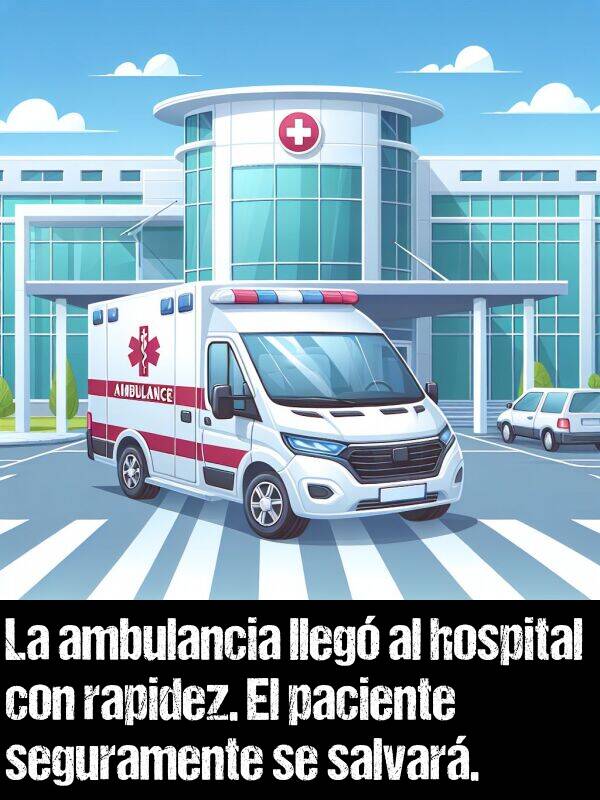 ambulancia: La ambulancia lleg al hospital con rapidez. El paciente seguramente se salvar.