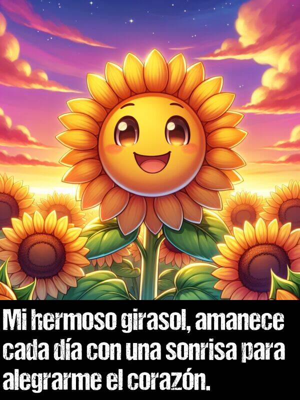 alegrarme: Mi hermoso girasol, amanece cada da con una sonrisa para alegrarme el corazn.