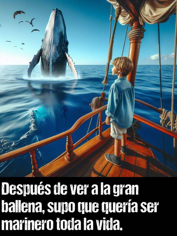 supo: Despus de ver a la gran ballena, supo que quera ser marinero toda la vida.