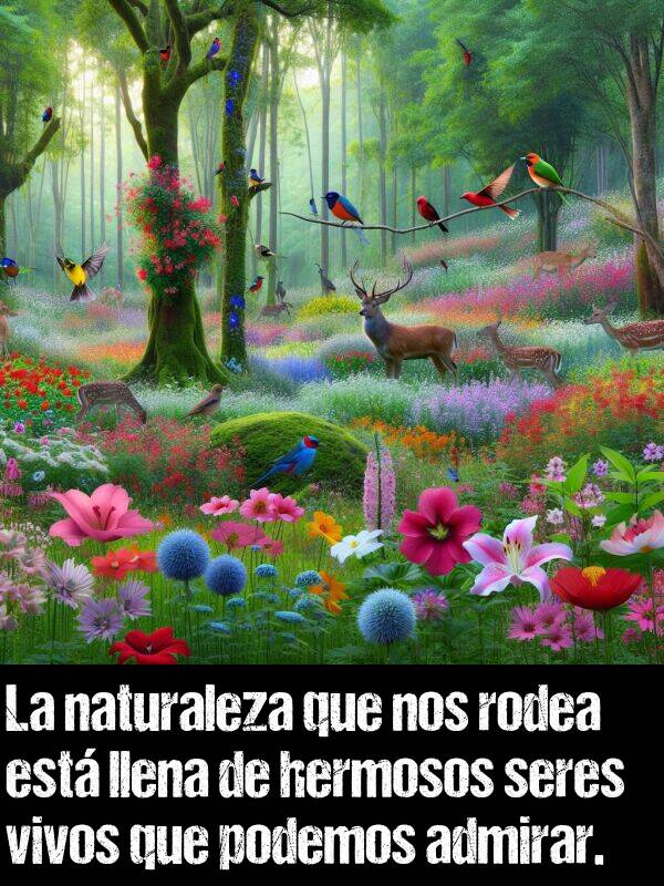 admirar: La naturaleza que nos rodea est llena de hermosos seres vivos que podemos admirar.