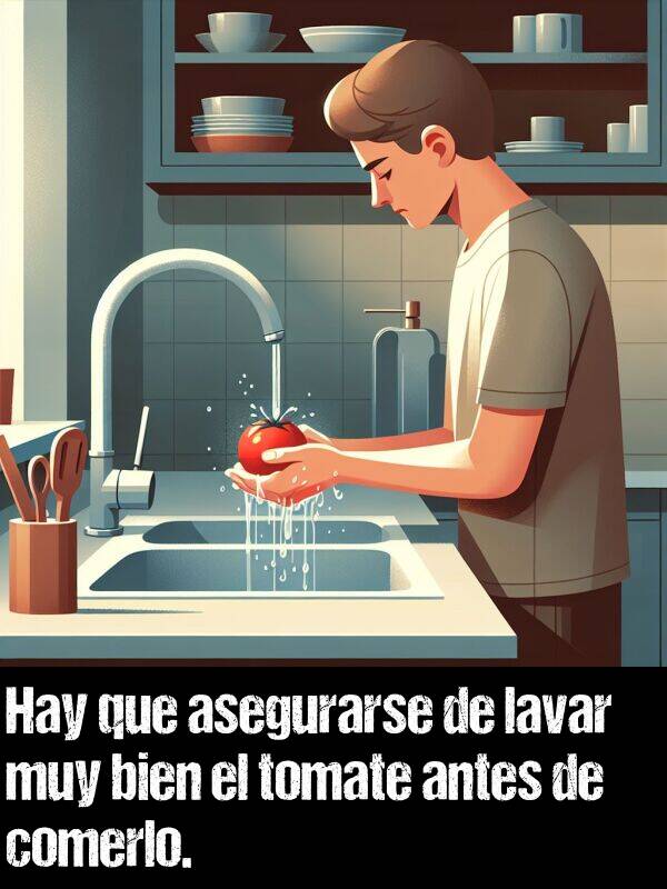 tomate: Hay que asegurarse de lavar muy bien el tomate antes de comerlo.
