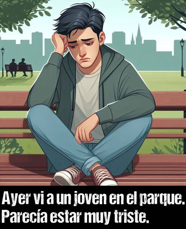 joven: Ayer vi a un joven en el parque. Pareca estar muy triste.