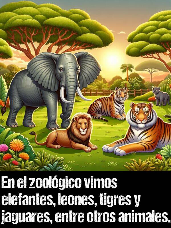 jaguares: En el zoolgico vimos elefantes, leones, tigres y jaguares, entre otros animales.