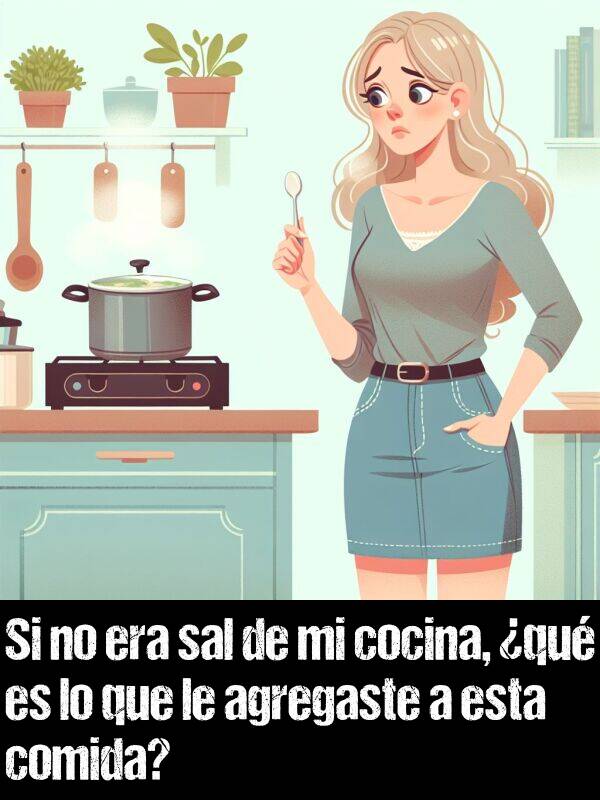 agregaste: Si no era sal de mi cocina, qu es lo que le agregaste a esta comida?