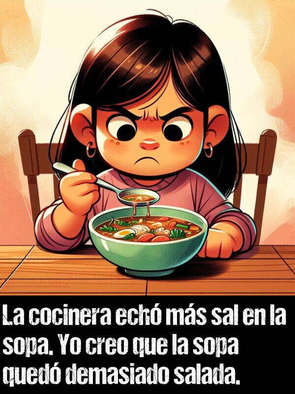 ech: La cocinera ech ms sal en la sopa. Yo creo que la sopa qued demasiado salada.