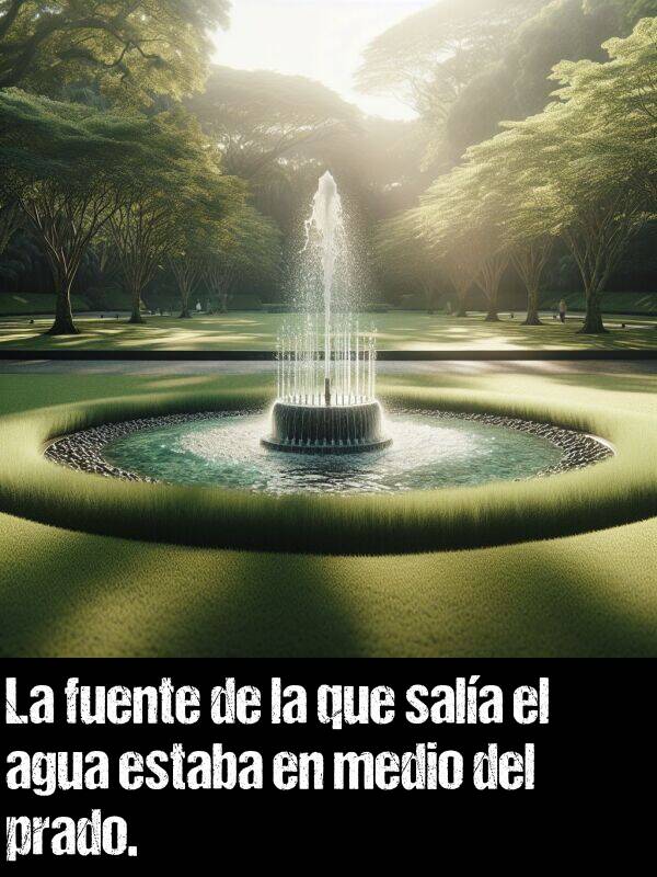 medio: La fuente de la que sala el agua estaba en medio del prado.