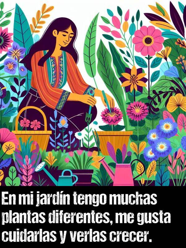 crecer: En mi jardn tengo muchas plantas diferentes, me gusta cuidarlas y verlas crecer.