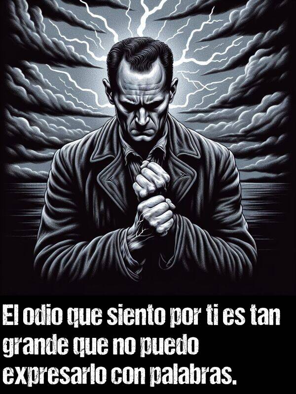 odio: El odio que siento por ti es tan grande que no puedo expresarlo con palabras.