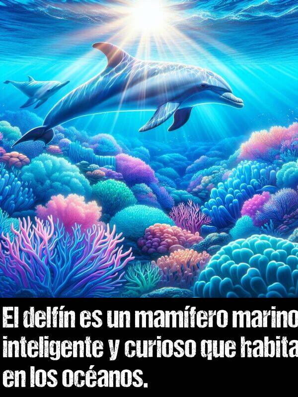 delfn: El delfn es un mamfero marino inteligente y curioso que habita en los ocanos.