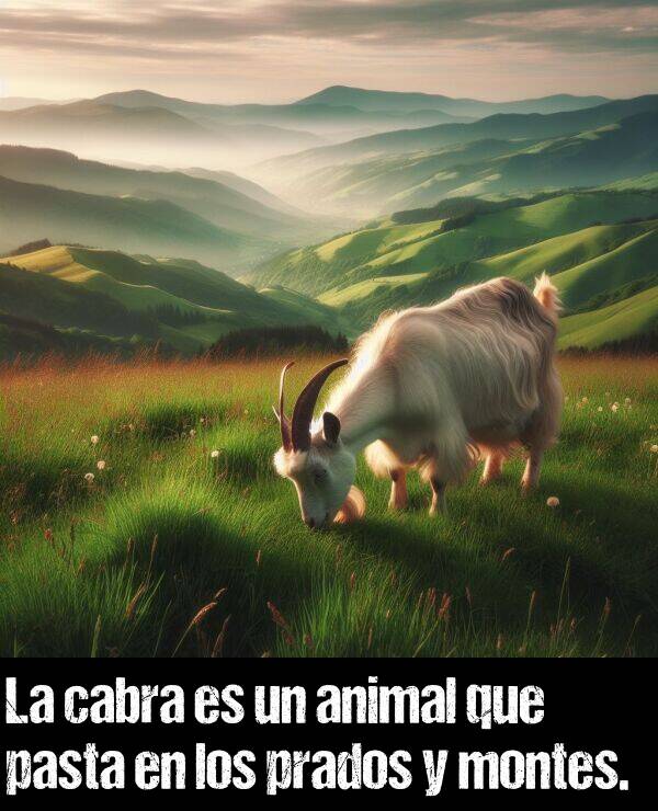 prados: La cabra es un animal que pasta en los prados y montes.