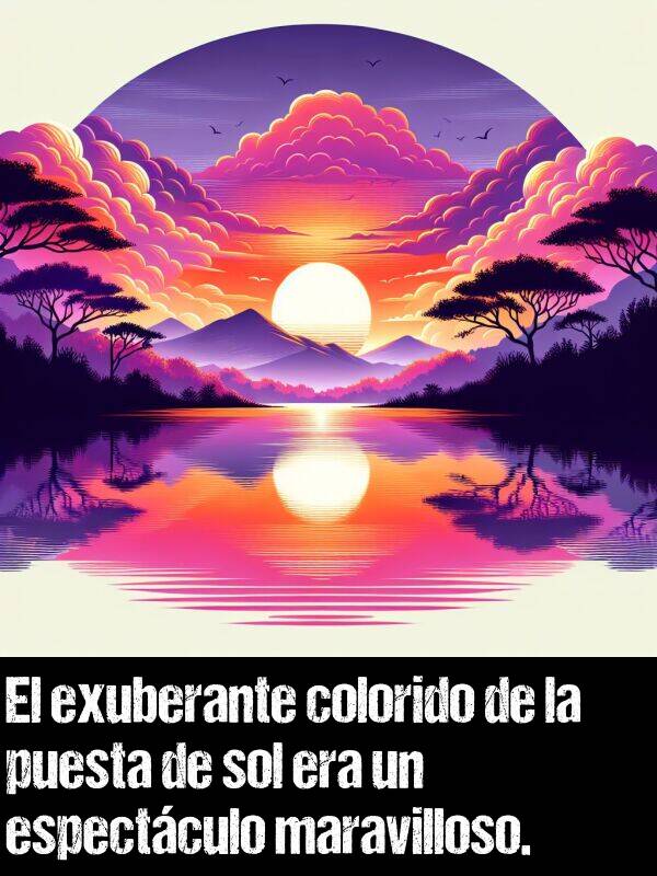 maravilloso: El exuberante colorido de la puesta de sol era un espectculo maravilloso.