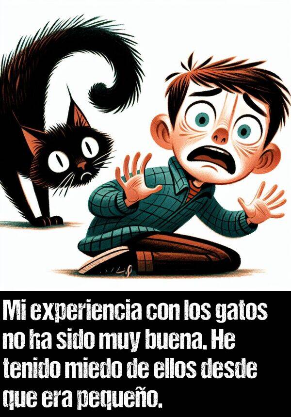 pequeo: Mi experiencia con los gatos no ha sido muy buena. He tenido miedo de ellos desde que era pequeo.