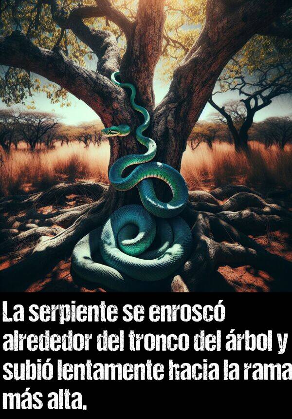 tronco: La serpiente se enrosc alrededor del tronco del rbol y subi lentamente hacia la rama ms alta.