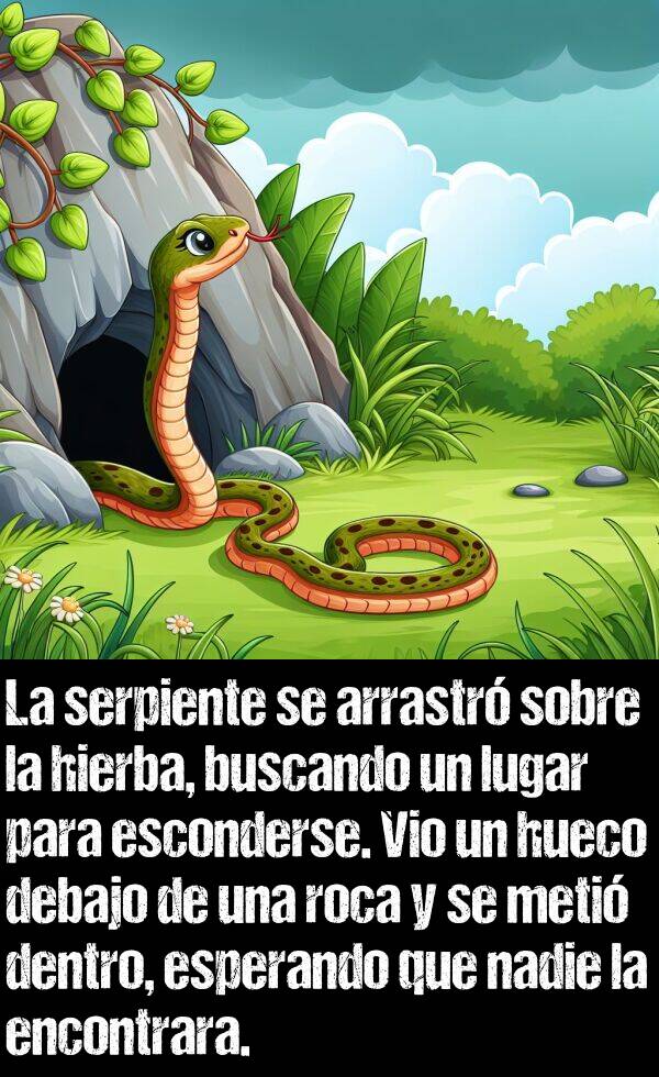 hierba: La serpiente se arrastr sobre la hierba, buscando un lugar para esconderse. Vio un hueco debajo de una roca y se meti dentro, esperando que nadie la encontrara.