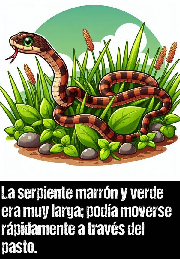 larga: La serpiente marrn y verde era muy larga; poda moverse rpidamente a travs del pasto.