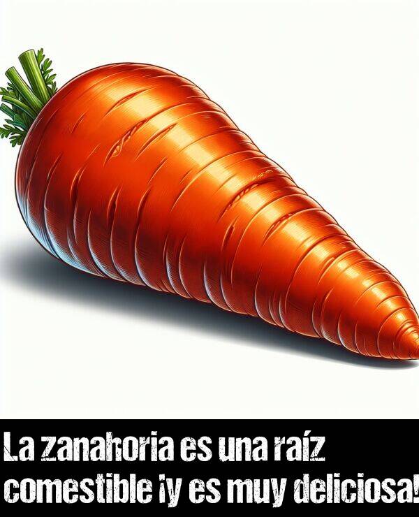 raíz: La zanahoria es una raíz comestible ¡y es muy deliciosa!