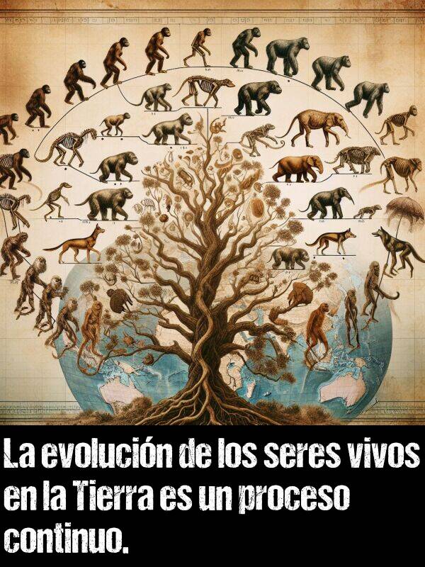 continuo: La evolucin de los seres vivos en la Tierra es un proceso continuo.