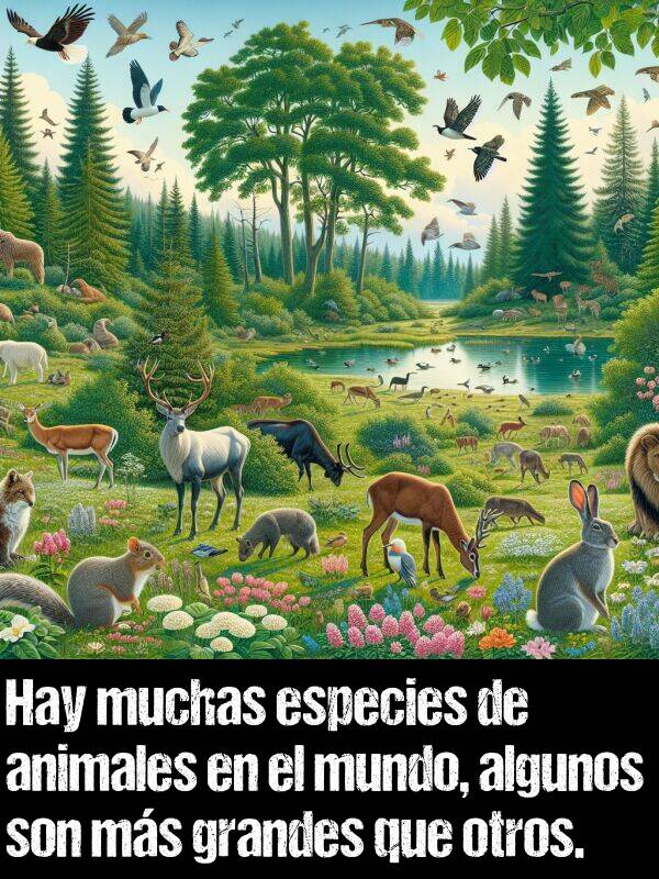 especies: Hay muchas especies de animales en el mundo, algunos son ms grandes que otros.