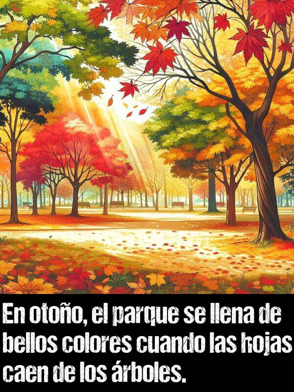 bellos: En otoo, el parque se llena de bellos colores cuando las hojas caen de los rboles.