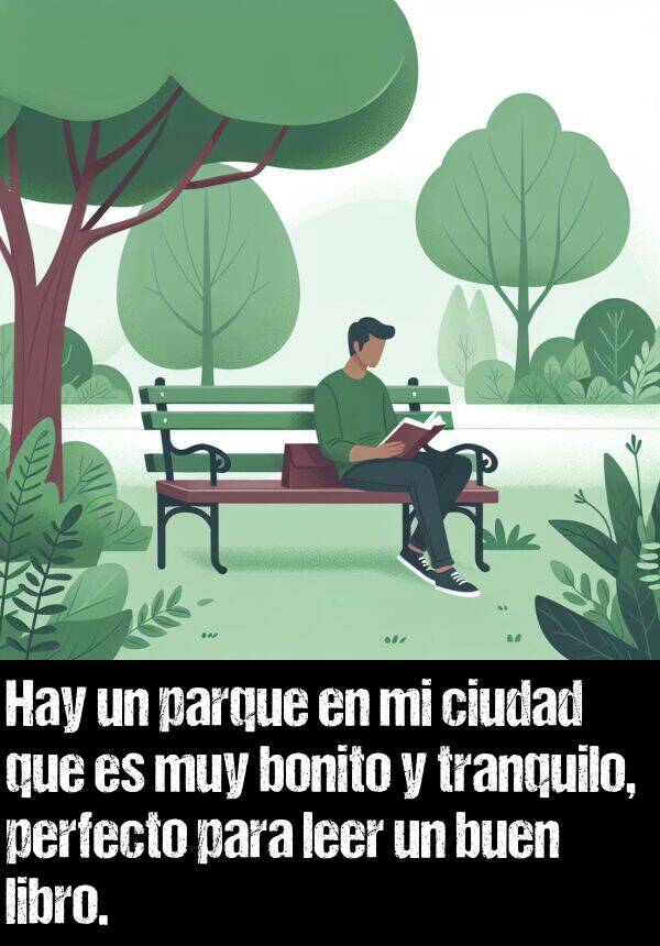 tranquilo: Hay un parque en mi ciudad que es muy bonito y tranquilo, perfecto para leer un buen libro.