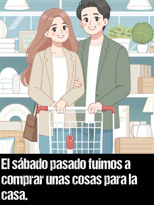 cosas: El sbado pasado fuimos a comprar unas cosas para la casa.