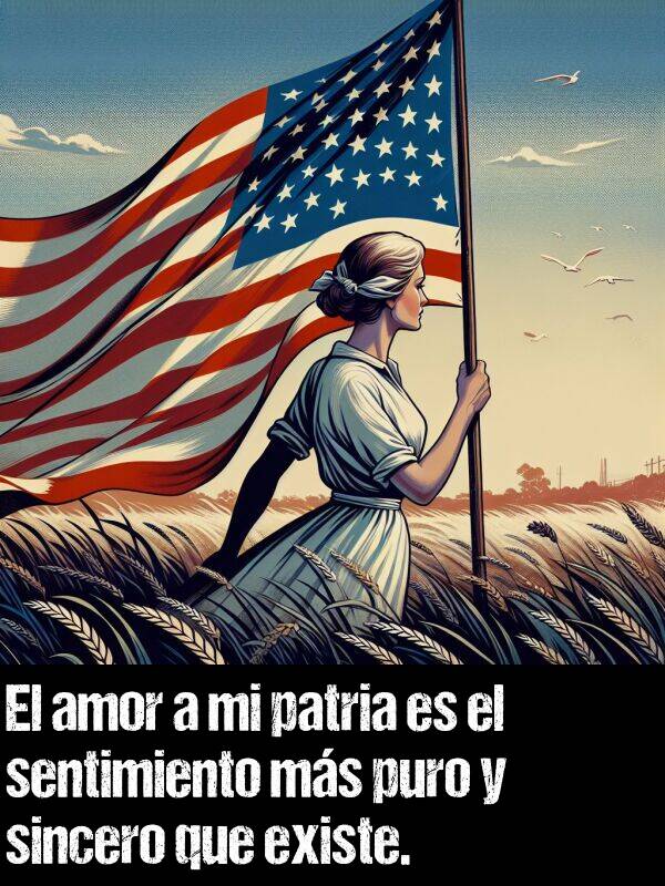 puro: El amor a mi patria es el sentimiento ms puro y sincero que existe.