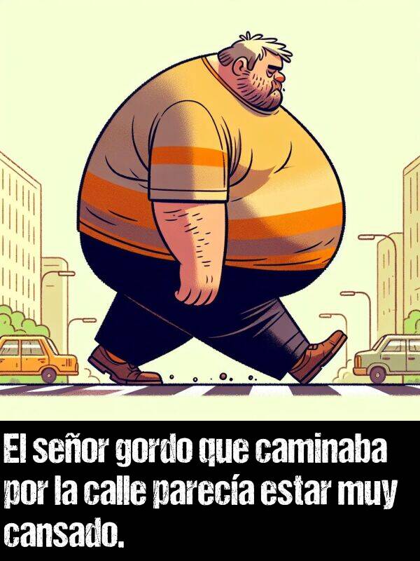 seor: El seor gordo que caminaba por la calle pareca estar muy cansado.