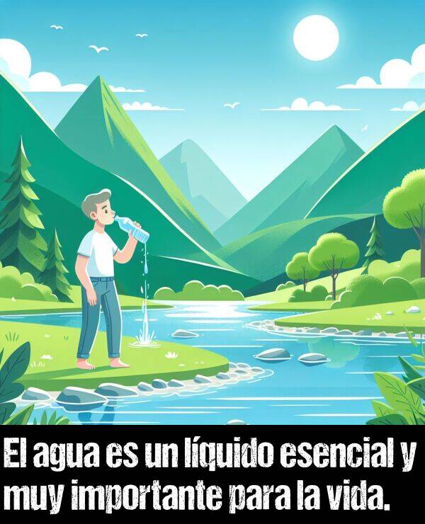 vida: El agua es un lquido esencial y muy importante para la vida.
