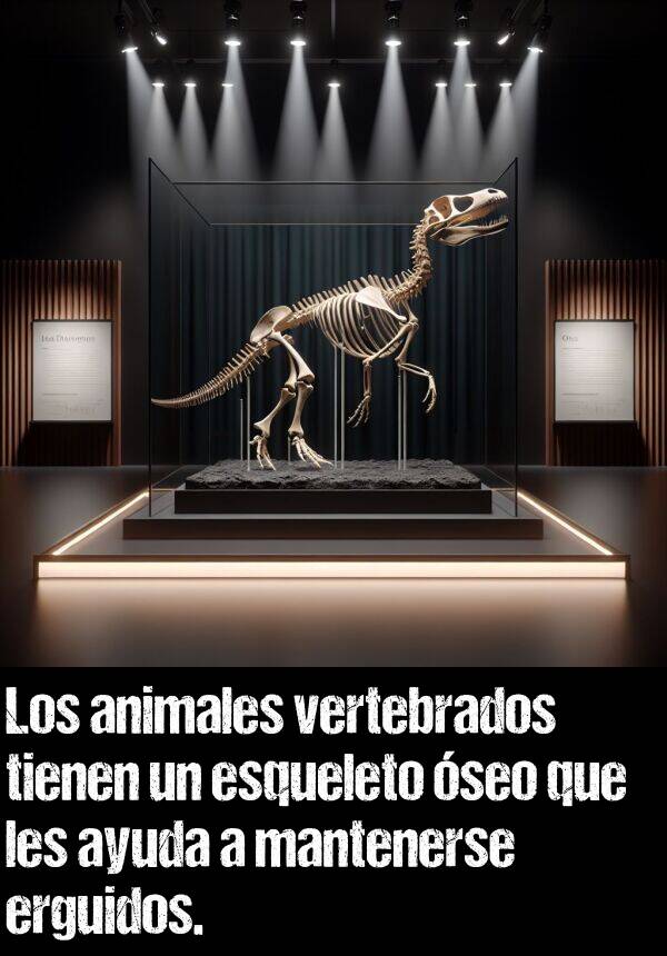 vertebrados: Los animales vertebrados tienen un esqueleto seo que les ayuda a mantenerse erguidos.
