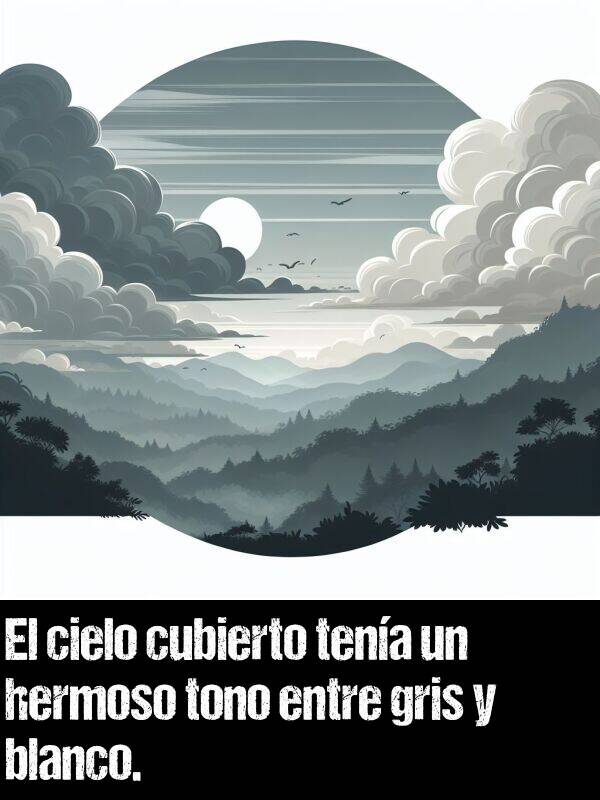 gris: El cielo cubierto tena un hermoso tono entre gris y blanco.