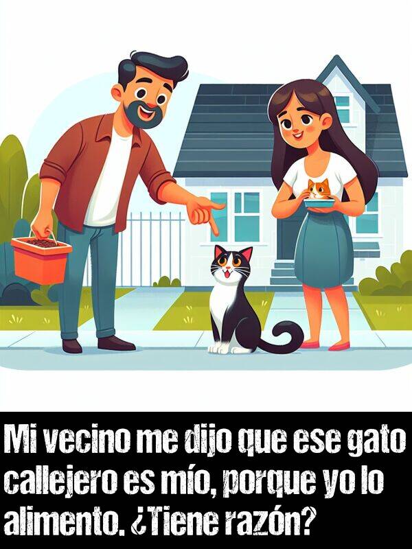 razn: Mi vecino me dijo que ese gato callejero es mo, porque yo lo alimento. Tiene razn?