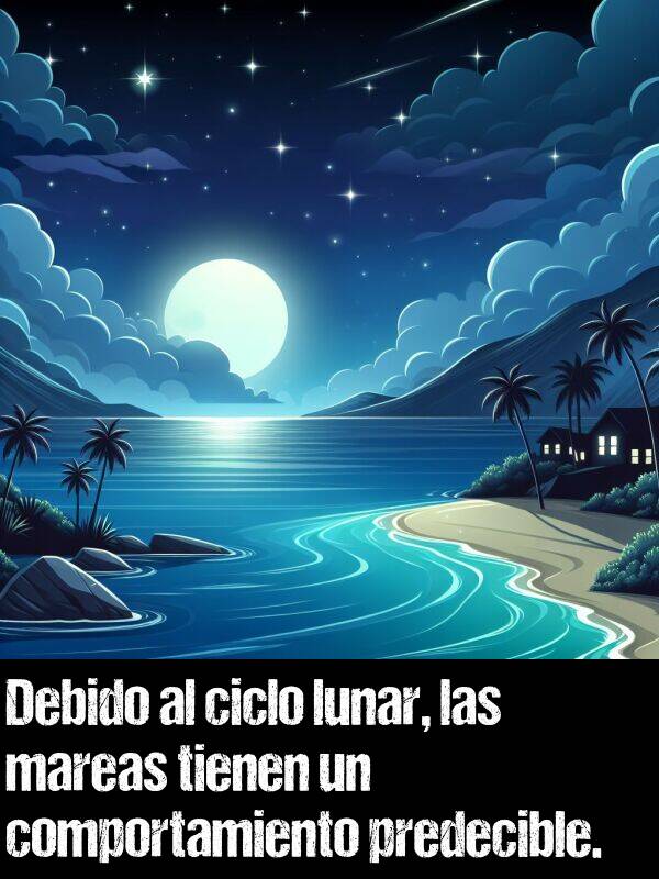 ciclo: Debido al ciclo lunar, las mareas tienen un comportamiento predecible.