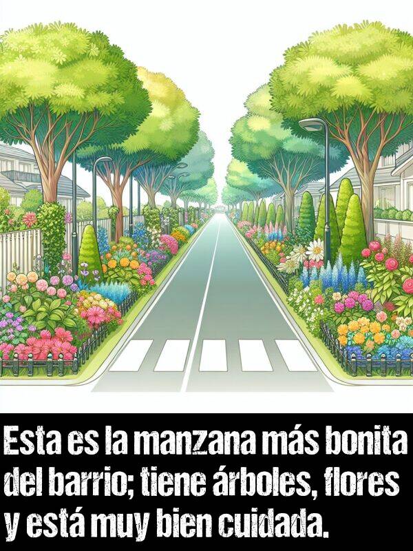 manzana: Esta es la manzana ms bonita del barrio; tiene rboles, flores y est muy bien cuidada.