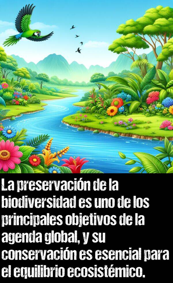 preservacin: La preservacin de la biodiversidad es uno de los principales objetivos de la agenda global, y su conservacin es esencial para el equilibrio ecosistmico.