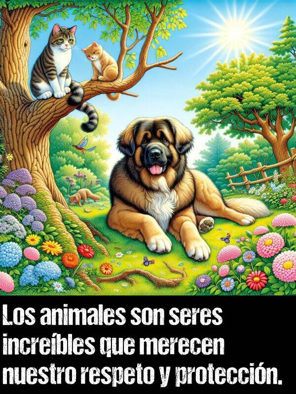 proteccin: Los animales son seres increbles que merecen nuestro respeto y proteccin.