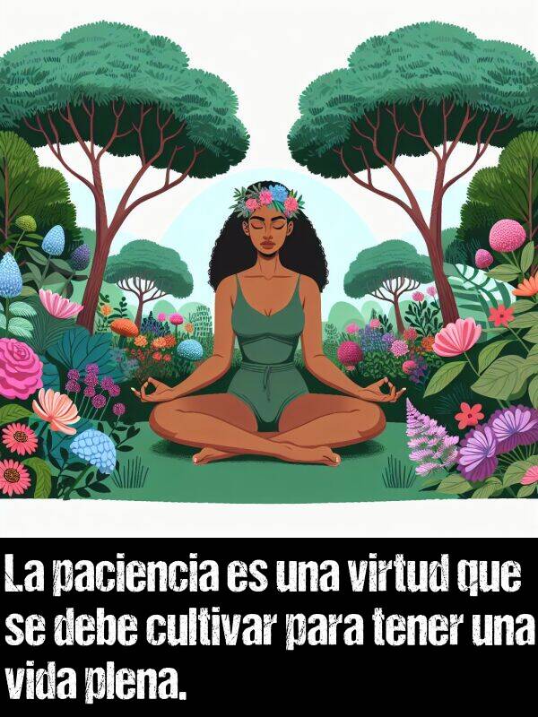 paciencia: La paciencia es una virtud que se debe cultivar para tener una vida plena.