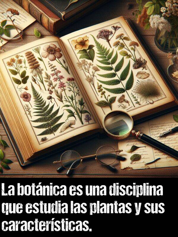 botnica: La botnica es una disciplina que estudia las plantas y sus caractersticas.