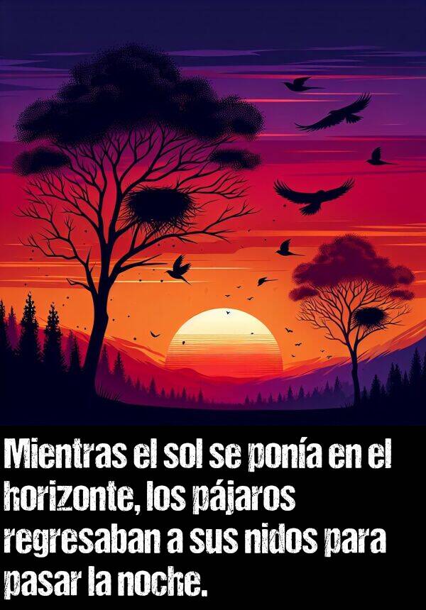 nidos: Mientras el sol se pona en el horizonte, los pjaros regresaban a sus nidos para pasar la noche.