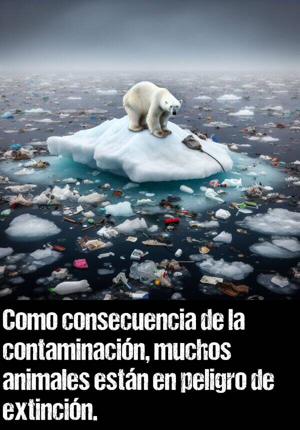 contaminacin: Como consecuencia de la contaminacin, muchos animales estn en peligro de extincin.