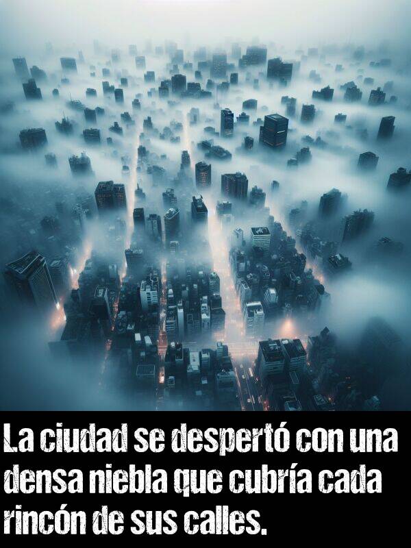 densa: La ciudad se despert con una densa niebla que cubra cada rincn de sus calles.
