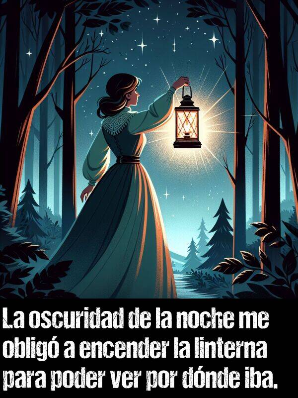 linterna: La oscuridad de la noche me oblig a encender la linterna para poder ver por dnde iba.