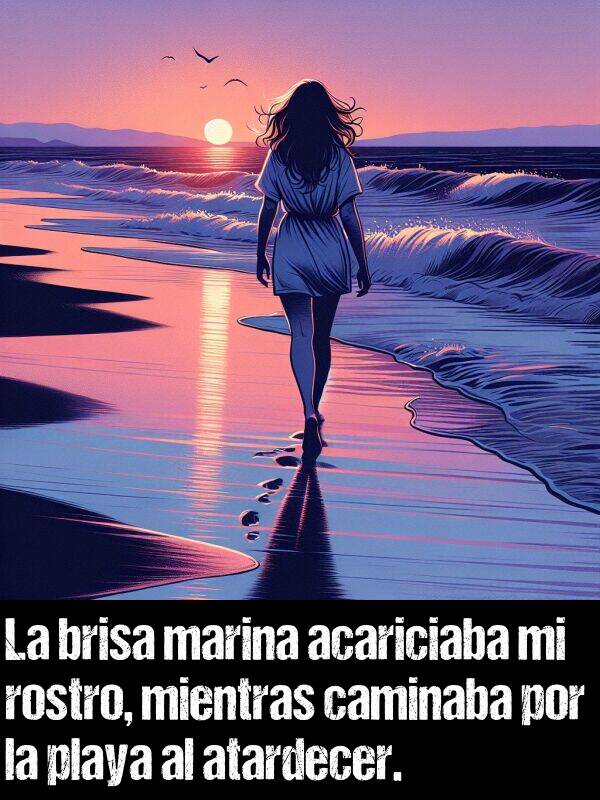 atardecer: La brisa marina acariciaba mi rostro, mientras caminaba por la playa al atardecer.